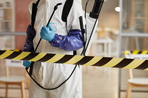 Professional Sewage Cleanup technician working in Hempstead, NY